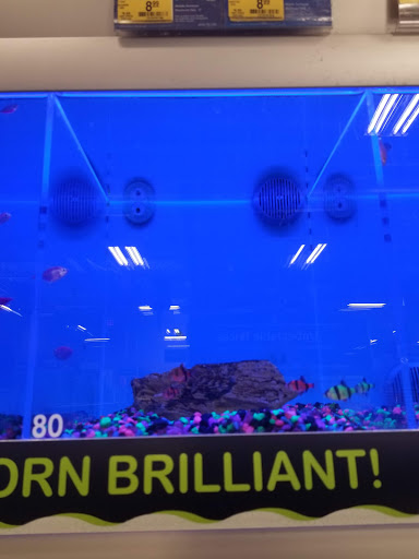 Pet Supply Store «PetSmart», reviews and photos, 98 Providence Hwy, East Walpole, MA 02032, USA