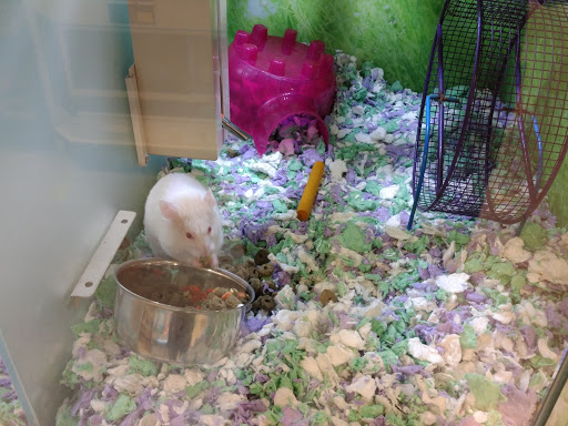 Pet Supply Store «PetSmart», reviews and photos, 215 N Burkhardt Rd, Evansville, IN 47715, USA