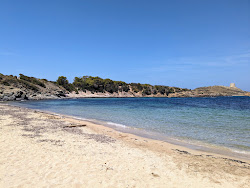 Cala Tamarells del Nord'in fotoğrafı doğal alan içinde bulunmaktadır