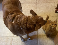 OVG Urgent Care - Photo 8 - Car repair in Omaha, NE, Omaha