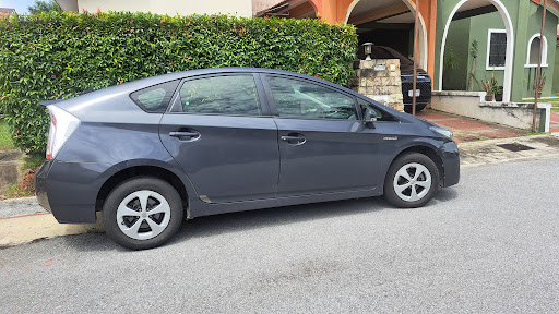 Prius Offroad image