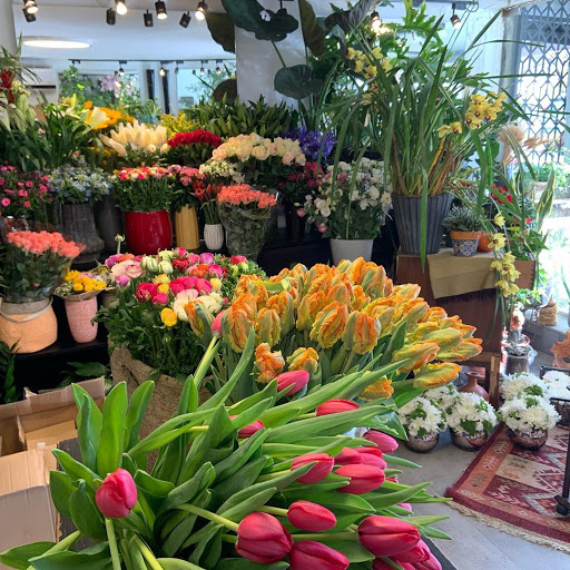 Flower Shop Mishael