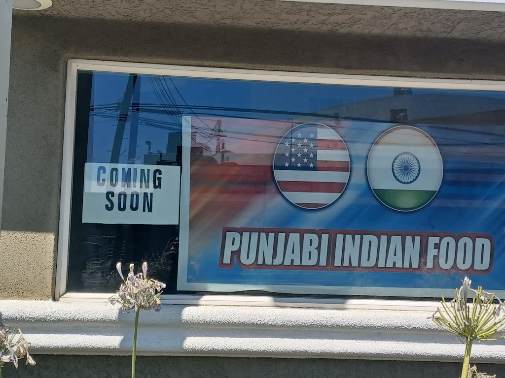 Punjabi Indian Food 96002