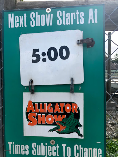 Tourist Attraction «Everglades Alligator Farm», reviews and photos, 40351 SW 192nd Ave, Florida City, FL 33034, USA