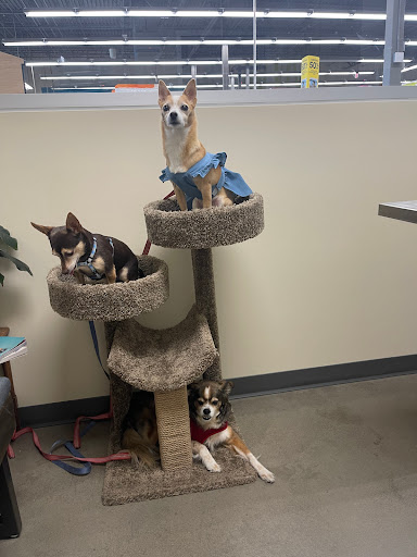 Vetco Total Care Animal Hospital image