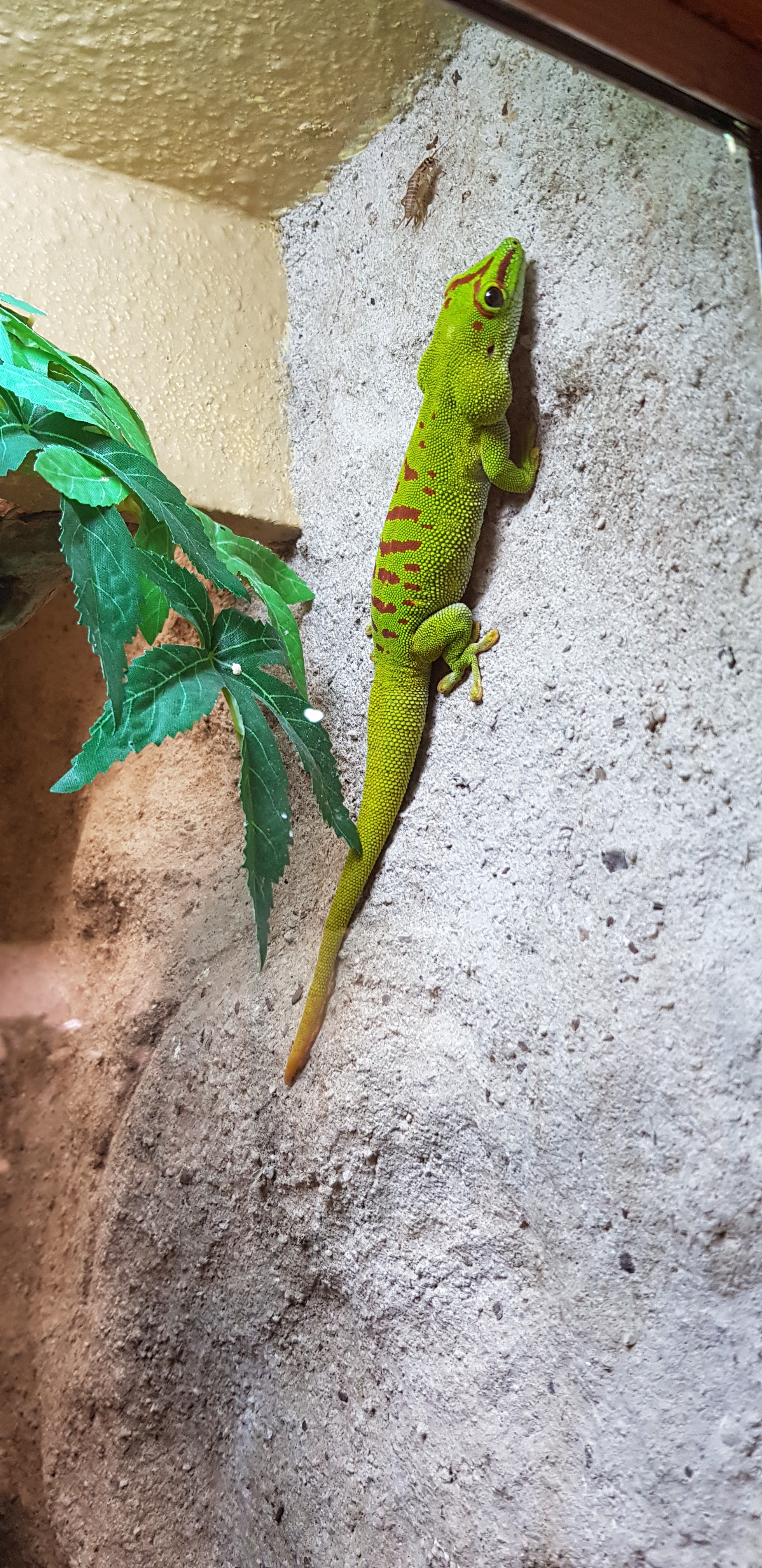 Photo n° 4 de l'avis de joyce.u fait le 16/08/2022 à 20:34