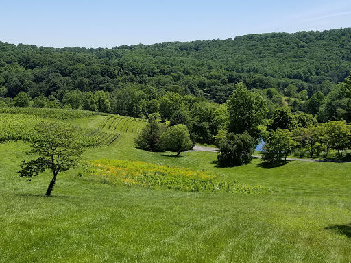 Vineyard «Linden Vineyards», reviews and photos, 3708 Harrels Corner Rd, Linden, VA 22642, USA