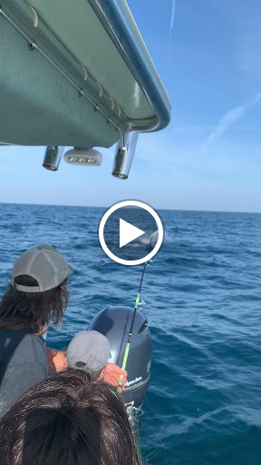 Insurance Agency «Tom Luscombe - State Farm Insurance Agent», reviews and photos