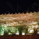 Photo n°33 de l'avis de Andrea.a fait le 28/07/2019 à 20:01 sur le  Herb à Cittadella