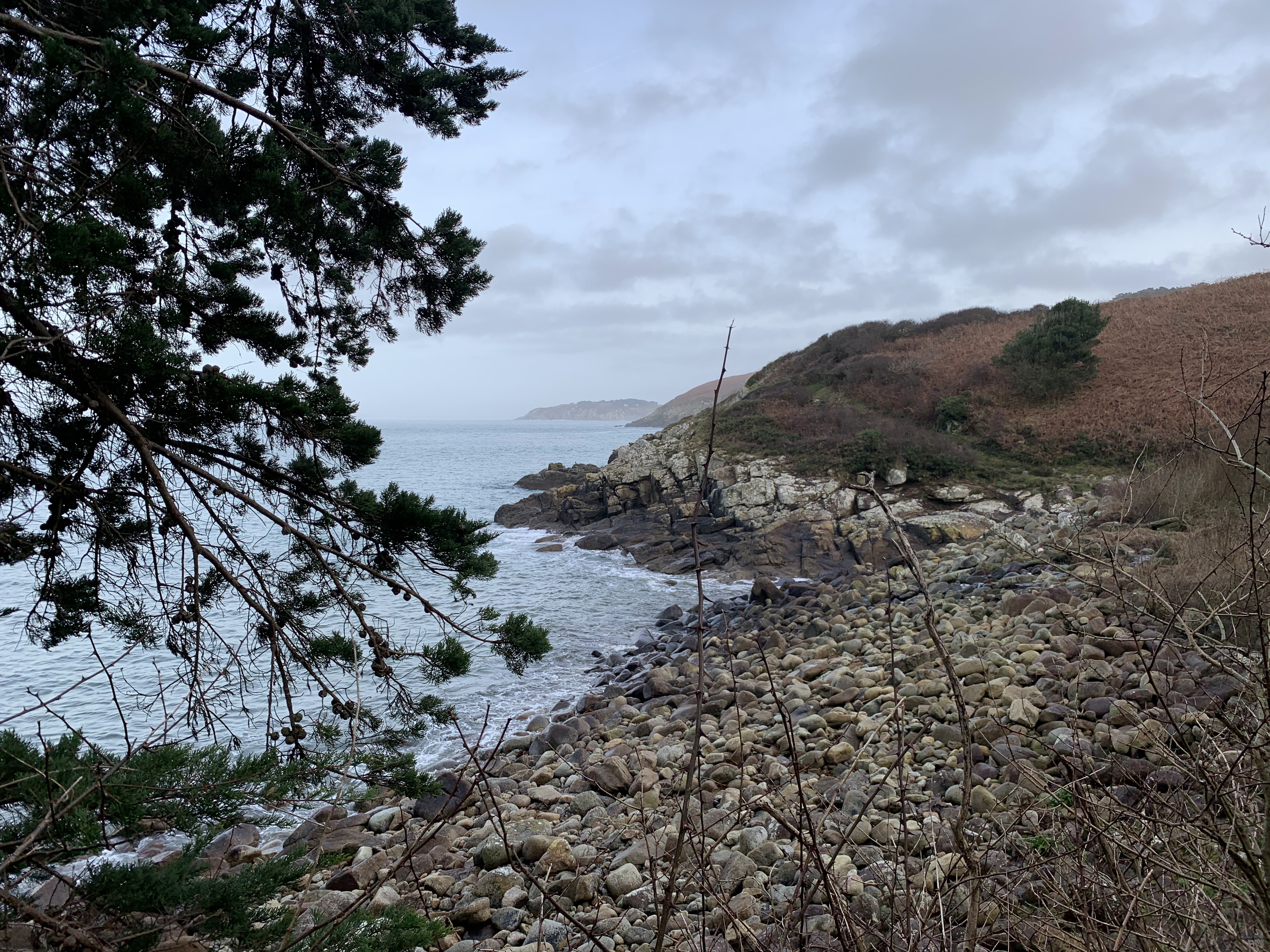 Photo n° 6 de l'avis de Elisabeth.. fait le 23/02/2020 à 22:41