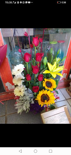 Florería Karen – Tepetlixpa