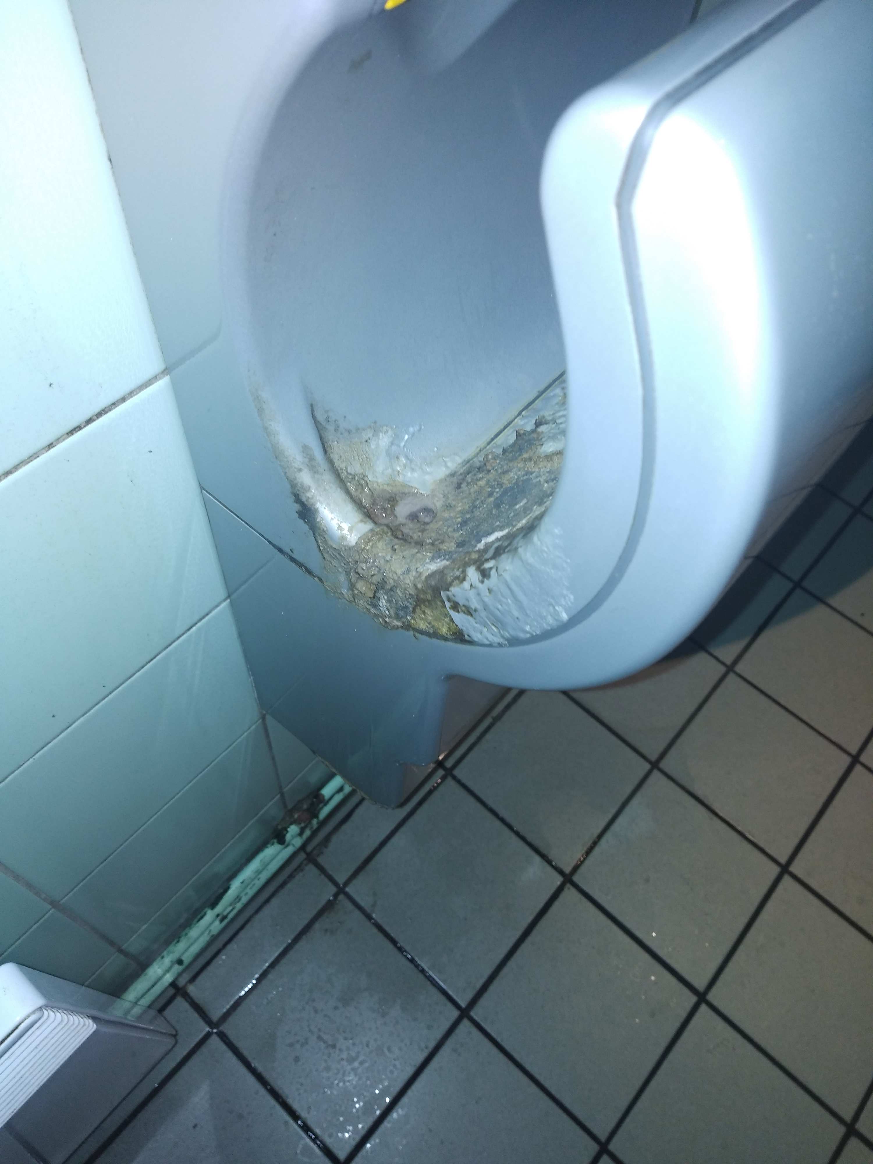 Photo n° 2 de l'avis de Matthieu.a fait le 05/09/2021 à 20:17