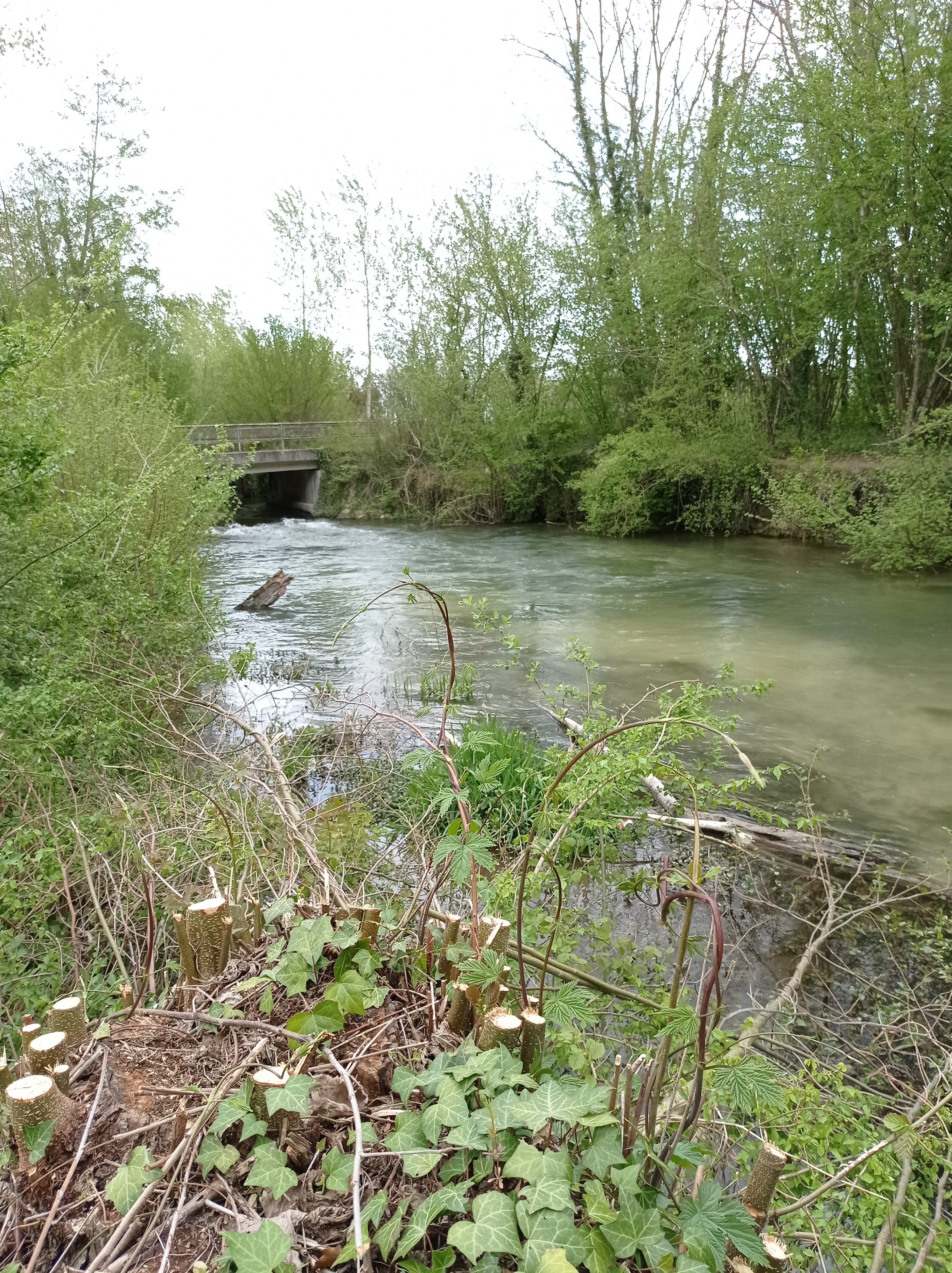 Photo n° 10 de l'avis de Jean-François.l fait le 03/05/2022 à 21:18