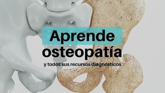 Escuela Osteopatía de Madrid - EOM Vigo Avenidas de las Camelias, 12, 36202 Vigo, Pontevedra, España