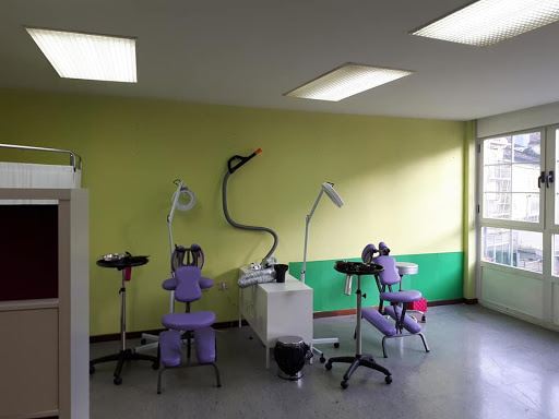 Información y opiniones sobre Ollo Piollo Lugo Tratamiento de piojos de Lugo