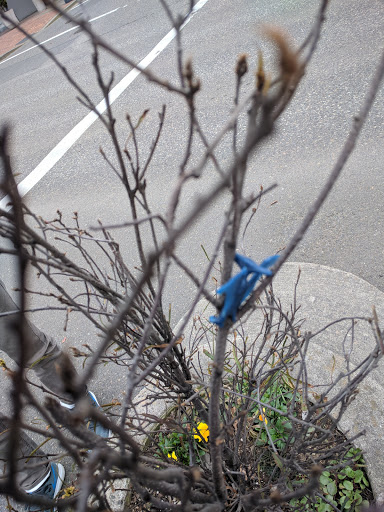 Park «Mill Ends Park», reviews and photos, 56 SW Taylor St, Portland, OR 97204, USA