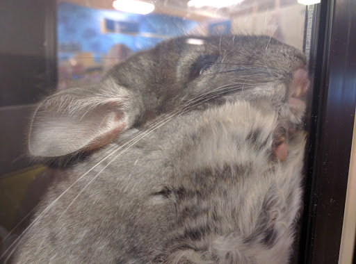 Pet Supply Store «PetSmart», reviews and photos, 745 W Huntington Dr, Monrovia, CA 91016, USA