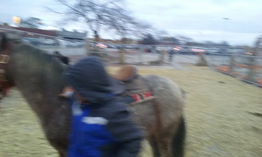 Amusement Center «Haunted Trails Family Amusement Park», reviews and photos, 7759 Harlem Ave, Burbank, IL 60459, USA