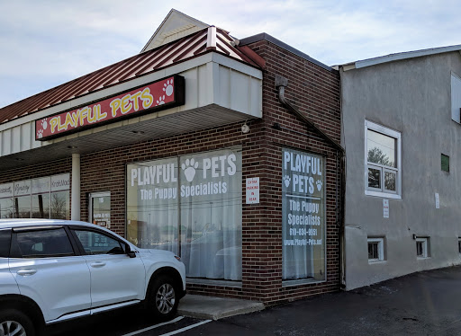 Playful Pets, 115 Ridge Pike, Conshohocken, PA 19428, USA, 