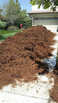 Razo's Landscaping & Maintenance, Inc. - Photo 8 - Car repair in , Riverside
