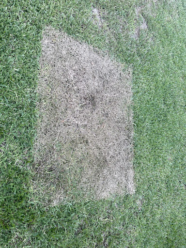 Plumber «Roto-Rooter Plumbing & Water Cleanup», reviews and photos