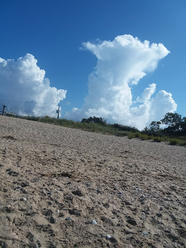 Live Music Venue «Vail-Leavitt Music Hall», reviews and photos, 18 Peconic Ave, Riverhead, NY 11901, USA