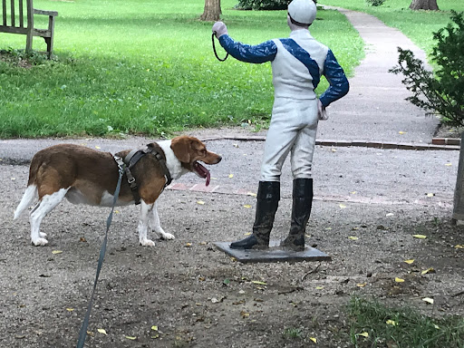 Museum «Ashland - The Henry Clay Estate», reviews and photos, 120 Sycamore Rd, Lexington, KY 40502, USA