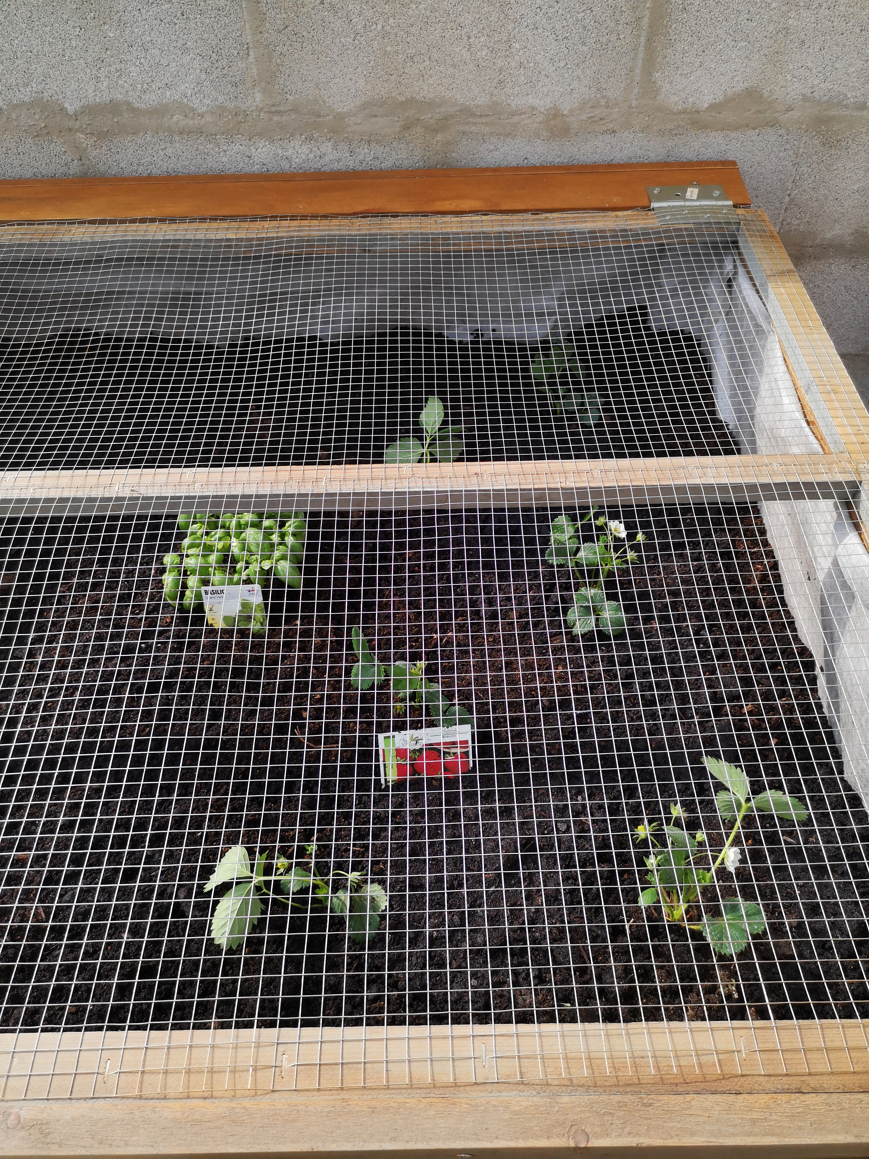 Photo n° 1 de l'avis de Franck.a fait le 11/04/2019 à 05:48
