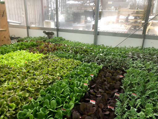 Garden Center «Copia Home and Garden», reviews and photos, 475 Smith Ridge Rd, South Salem, NY 10590, USA