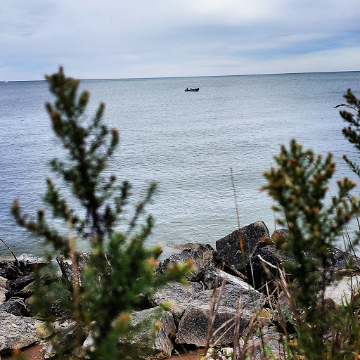 Nature Preserve «Kenosha Sand Dunes», reviews and photos, 7th Ave, Pleasant Prairie, WI 53158, USA