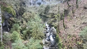 Photo n°14 de Cirque de Consolation à Consolation-Maisonnettes ()