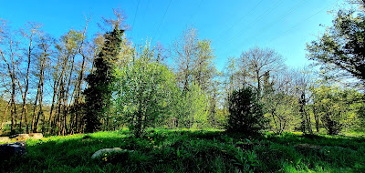 Parc des Moustiques à Montataire