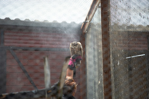 The Teaching Zoo at Moorpark College image