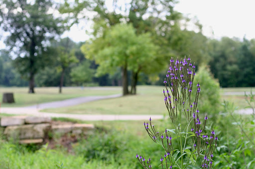 Golf Course «St. Peters Golf Course», reviews and photos, 200 Salt Lick Rd, St Peters, MO 63376, USA