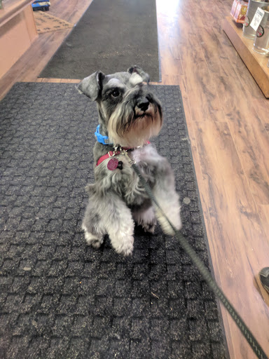 Pet Supply Store «Scally Waggs Doggy Bakery & Pet Supplies», reviews and photos, 44 W Front St, Monroe, MI 48161, USA