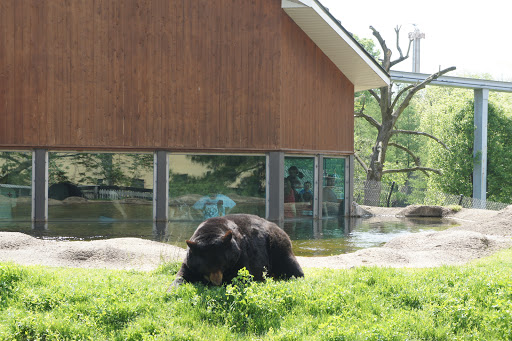 Zoo «ZooAmerica North American Wildlife Park», reviews and photos, 201 Park Avenue, Hershey, PA 17033, USA