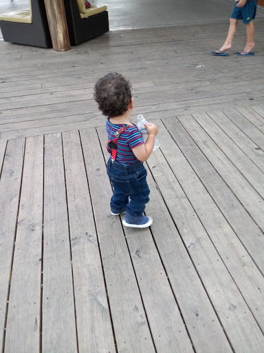 Zoo «Dallas Zoological Society», reviews and photos, 650 S R L Thornton Fwy, Dallas, TX 75203, USA