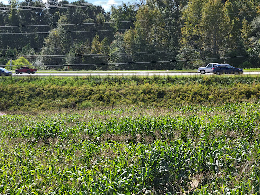 Farm «Buford Corn Maze.», reviews and photos, 4470 Bennett Rd, Buford, GA 30519, USA