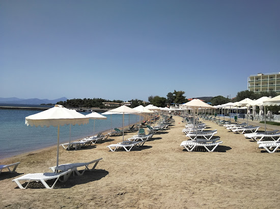 Palmariva free  beach