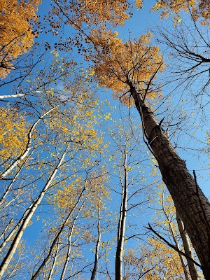Northwest Park - photo 6