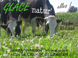 Photo n°10 de Glace RIMO - Cité Médiévale Pérouges à Pérouges ()