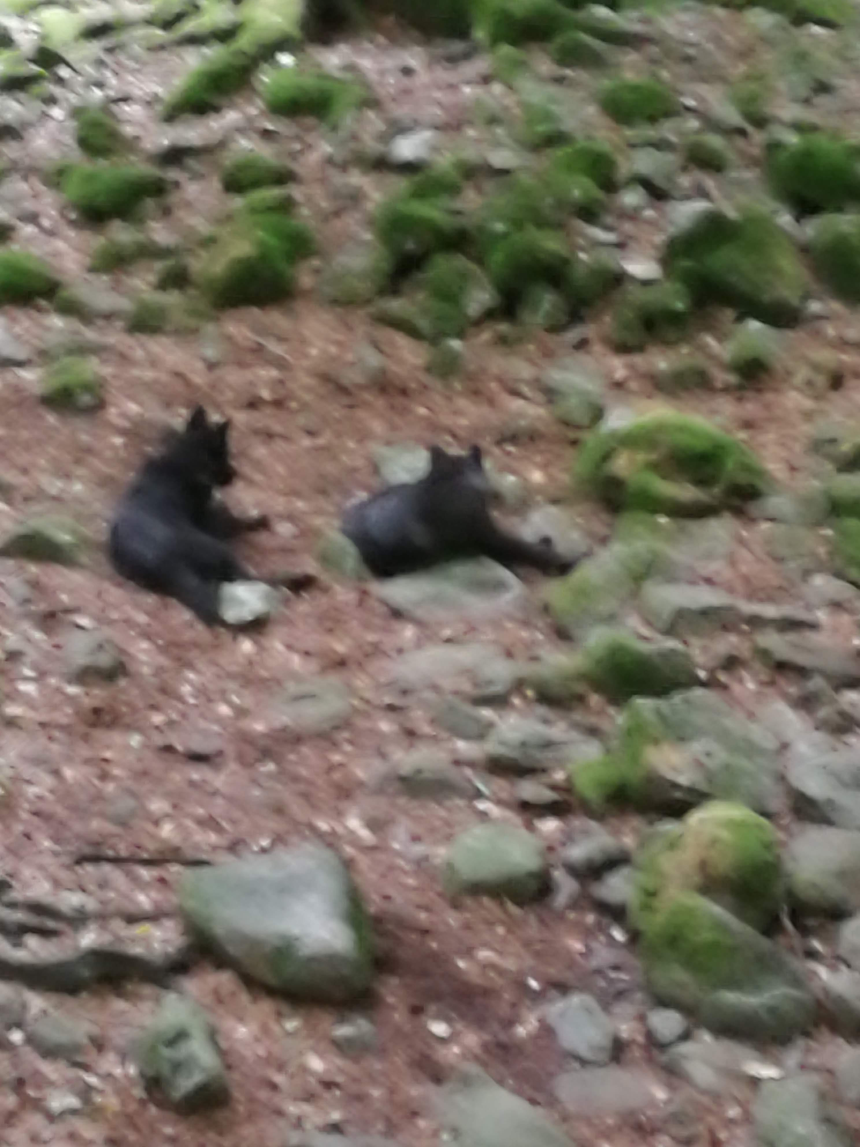 Photo n° 4 de l'avis de Fauvel.l fait le 02/09/2022 à 16:01