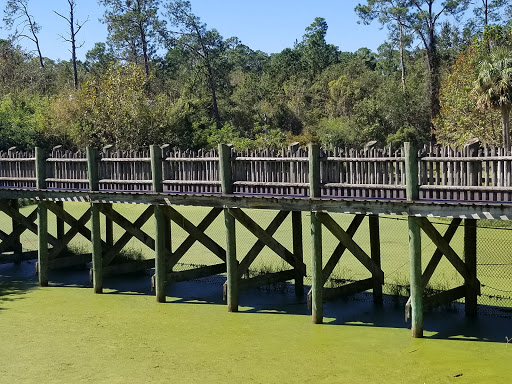 Zoo «Jacksonville Zoo and Gardens», reviews and photos, 370 Zoo Pkwy, Jacksonville, FL 32218, USA