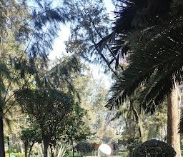 Conde Park photo
