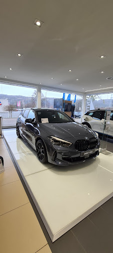 BMW Bortolin - Autodealer