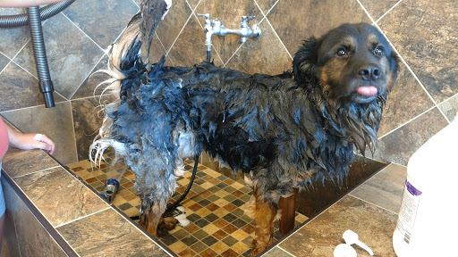 Pet Supply Store «Pet Valu», reviews and photos, 449 Colemans Crossing Blvd, Marysville, OH 43040, USA