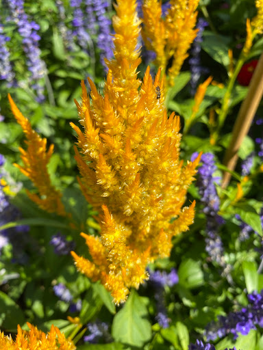 Garden «Wethersfield Farm», reviews and photos, 88 Wethersfield Way, Amenia, NY 12501, USA