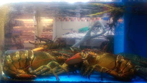 Supermarket «City Fresh (Associated) Supermarket», reviews and photos, 1380 Pennsylvania Ave, Brooklyn, NY 11239, USA