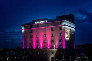 Hotel Bals image