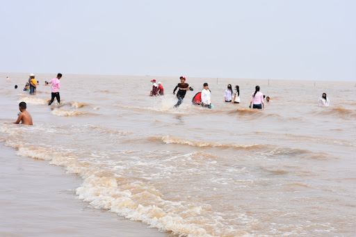 Top 11 cửa hàng chim Huyện Vĩnh Châu Sóc Trăng 2022